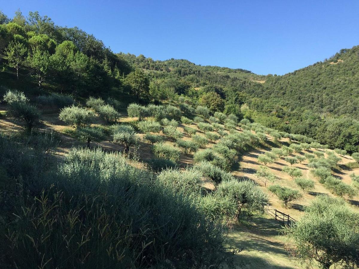 Agriturismo La Fonte Perugia Esterno foto