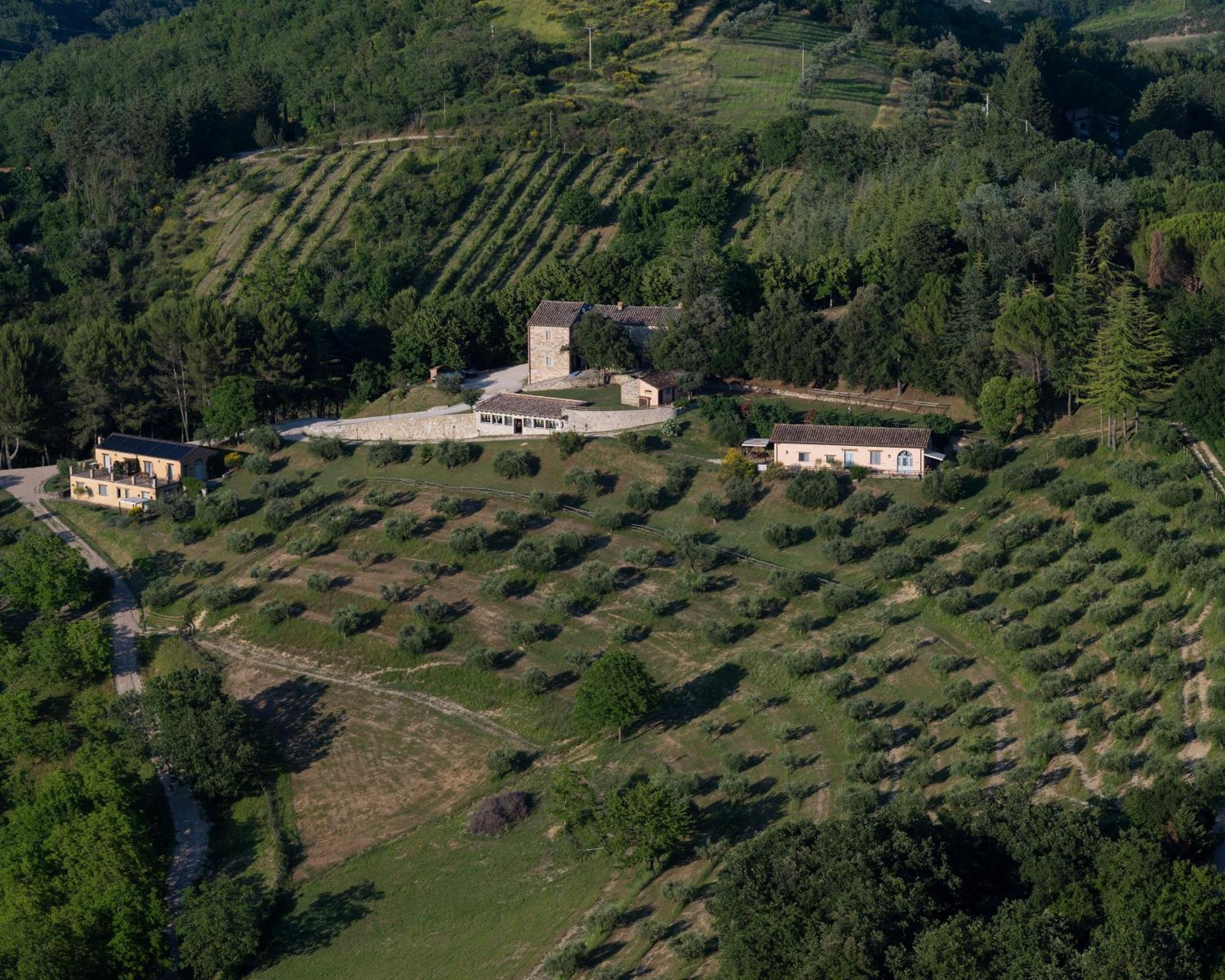 Agriturismo La Fonte Perugia Esterno foto